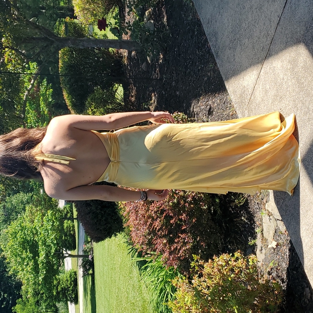 ABS Essentials yellow formal dress - Picture 12 of 12